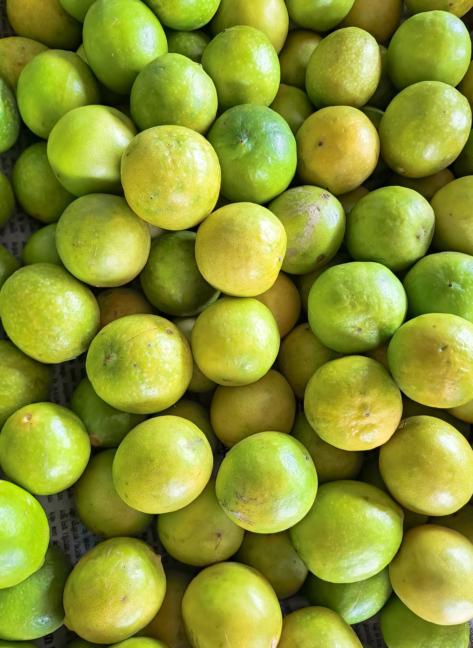 Limón