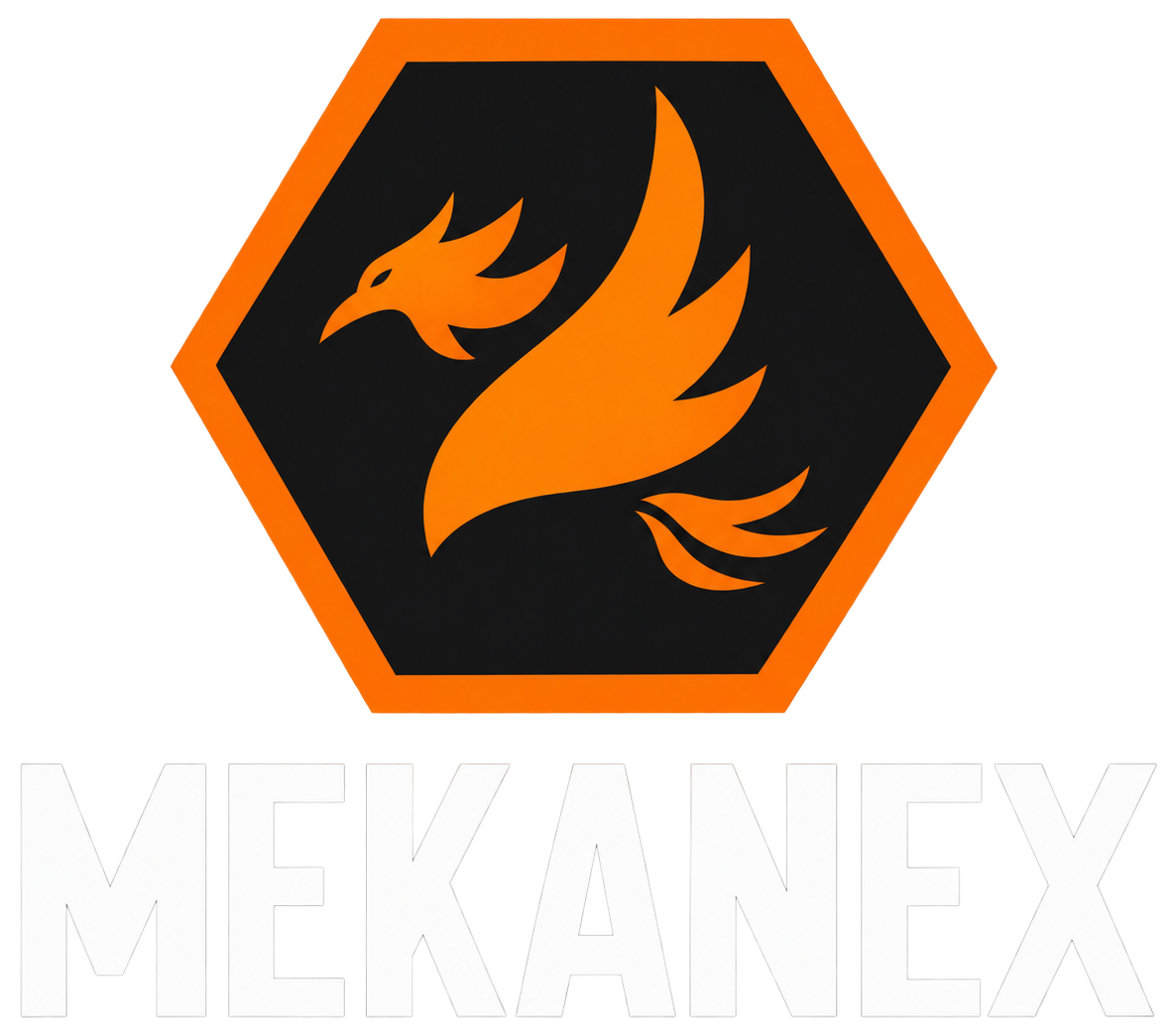 MEKANEX